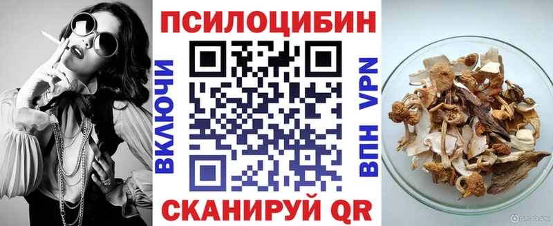 Купить  Поронайск  Псилоцибиновые грибы GOLDEN TEACHER 